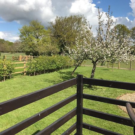 Maplehurst Barn Stables Staplehurst Ngoại thất bức ảnh