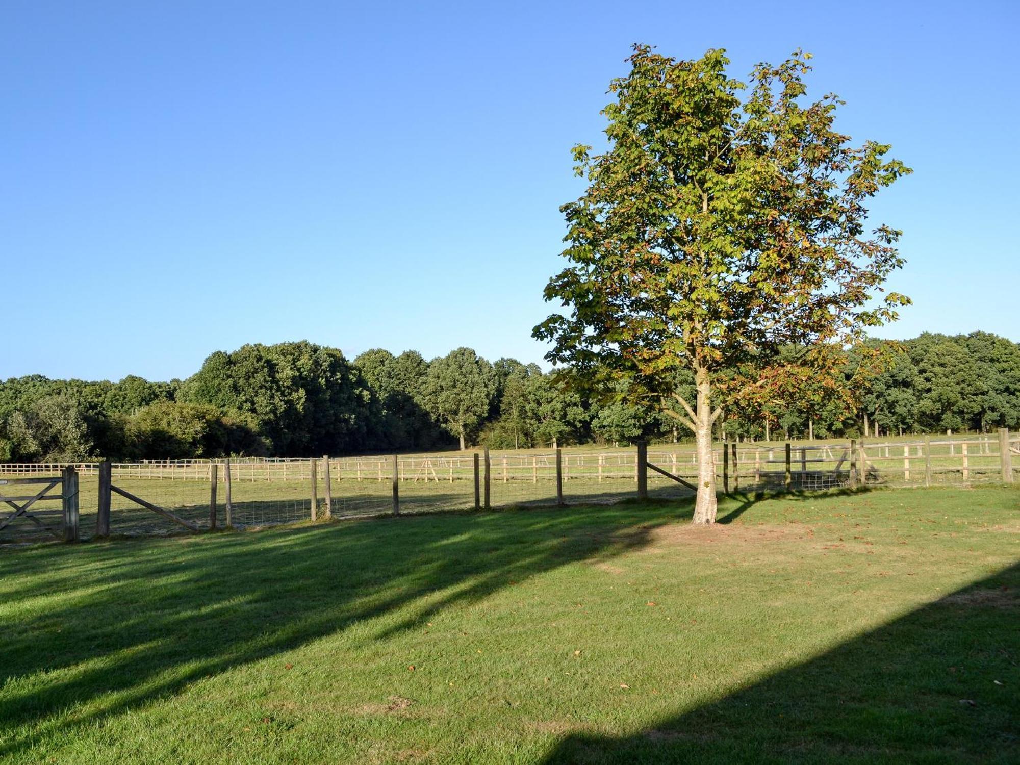 Maplehurst Barn Stables Staplehurst Ngoại thất bức ảnh