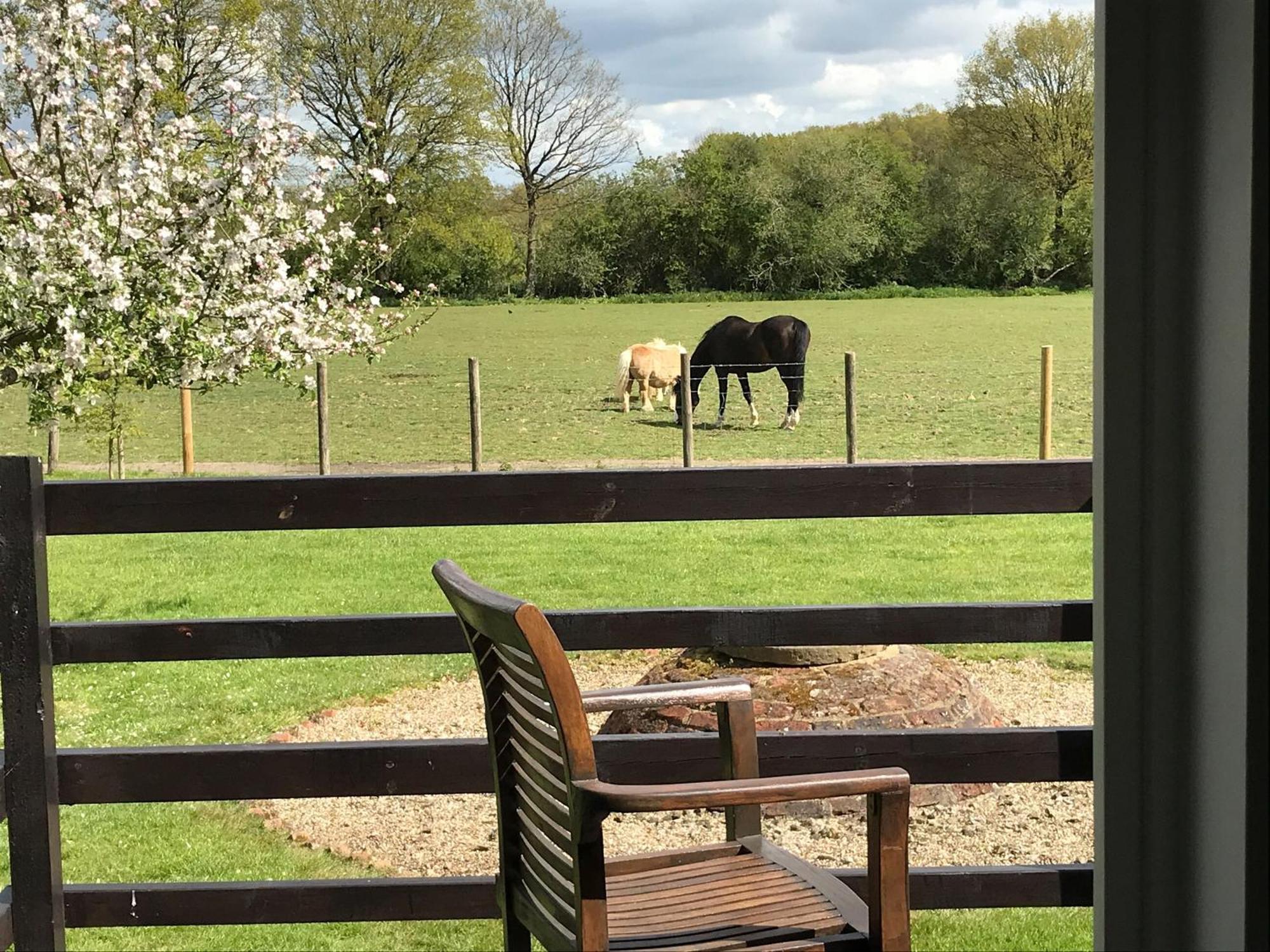 Maplehurst Barn Stables Staplehurst Ngoại thất bức ảnh